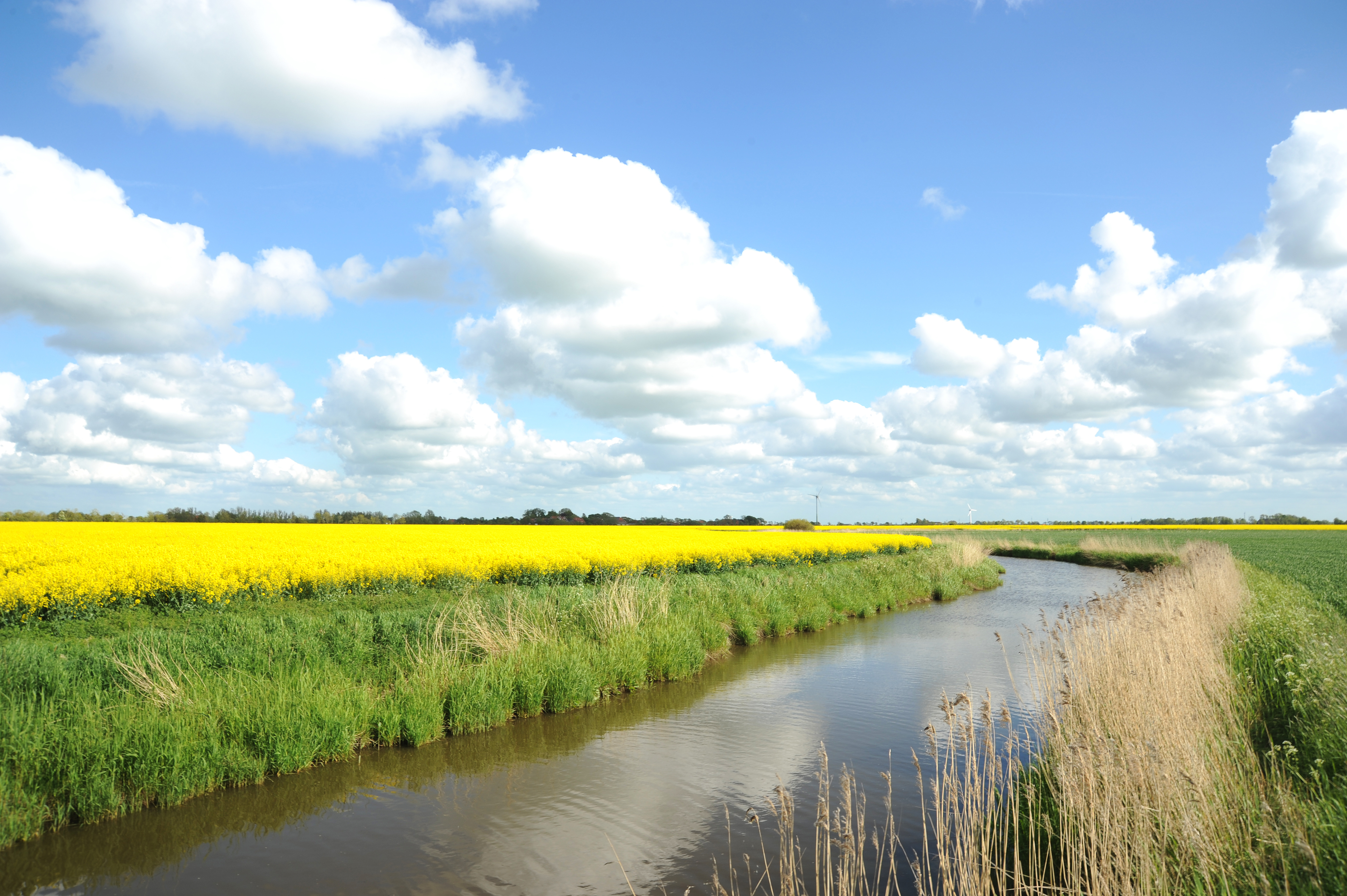 Grossheide Teetied Ostfriesland Reise Magazin Rund Um Die Ostfriesische Halbinsel